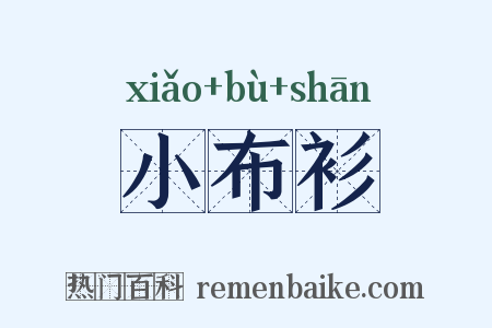 小布衫是什么意思的图片